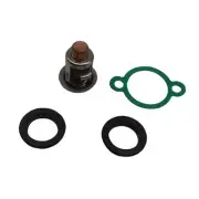 125°F Thermostat Kit for Honda BF9.9B BF9.9BX BF15AK BF15AM BF15AX 19300-881-761