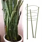 1 Set Of Plant Support Cage Garden Lattice Trellis Tomato Flowers Stand Holder