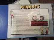WILLABEE & WARD CHARLIE BROWN PEANUTS PATCH LINUS AND CHARLIE BROWN RARE!!