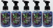 5 Bath Body Works BLACKBERRIES BASIL Black Berries Gentle Foaming Hand Soap Wash
