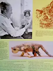6p Sasha Morgenthaler's Animals Doll History Article / Votaw