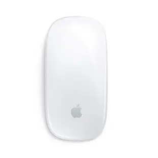 APPLE 蘋果 MK2E3TA/A Magic Mouse 巧控滑鼠 無線滑鼠 USB-C 對 Lightning