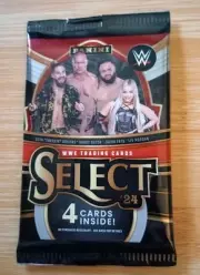 2024 Panini Select WWE Blaster Pack!!!
