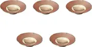 Set of 5 Kiln Kiln Kinkin Saiyaka Plate, 6.5 x 1.8 inches (16.5 x 4.5 cm) | Setomonohonpo