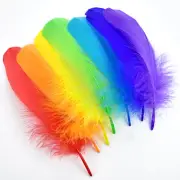 Colorful Goose Feathers in Bulk 4-6 Inch(10-15 Cm) for DIY Crafts,Wedding Home P