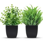 假植物小型人造盆栽植物黑色盆栽人造植物家庭辦公桌浴室裝飾室內