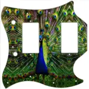 SG Standard Pickguard Custom Gibson Graphic Graphical Guitar Pick Guard Peacock