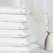 CLOUDOTE Goose Feather Down Throw Pillow Insert (Pack of 1, 20"x20")
