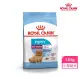 【ROYAL 法國皇家】小型室內幼犬專用飼料 MNINP 1.5KG(小顆粒 狗乾糧 狗飼料 免疫力 腸胃)