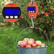 Mini Portable Crane Scale 500kg 0.1kg LCD Hook Hanging Scale Digital·~