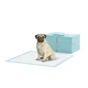 Pets 200 Pack Portably Potty Puppy Training Pads - Blue - Blue