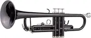 Daseeme Bb Trumpet for Beginners - Black Brass-Plated Student Trumpet Set with Hard Case, SS Mouthpiece, Gloves & Polishing Cloth