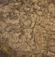 Walnut Burl wood veneer 17" x 25" raw no backing 1/42" thickness AAA grade # 99