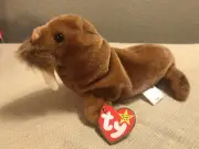 Ty Beanie Babies Walrus Paul **rare** Version Hangtag And Swingtag Errors