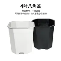 在飛比找PChome24h購物優惠-4吋八角塑膠花盆-3入組