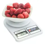 10 Kilo Large Digital Scale Kitchen-Lab-Postal/Flux Mixing/Gold/Silver Ore Smelt