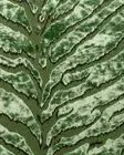 Bengal Tiger Palm Leaf Mokum by Catherine Martin 1.5 Meters
