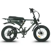Fatfish DS Fat Tyre E-Bike