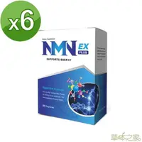 在飛比找momo購物網優惠-【草本之家】NMN膠囊6入組(30粒/入核酸.菸鹼醯胺.穀