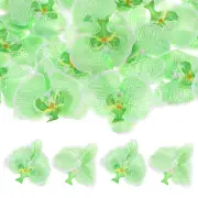 20Pcs Silk Faux Artificial Orchid Flower Heads Petals Decor 3.54", Green