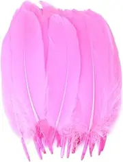 10/50/100Pcs Natural Feathers Dyed Various Feather for Crafts Wedding Jewelry Party Accessories deep pnnrk 100PCS