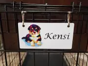 Bernese Mtn Dog Puppy Pop Art Personalized 5" x 2.5" Dog Crate Tag FREE SHIPPING