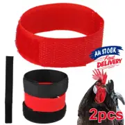 2PCS for Roosters No Crow Noise Cockerel Nylon Neck Belt Anti Crow Collar