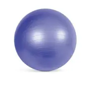 10inch Yoga Ball Exercise Anti Burst Fitness Balance Workout Stability With Pump