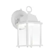 Small Outdoor LED Wall Lantern with Dusk to Dawn Photocell, 5000K Daylight Wh...