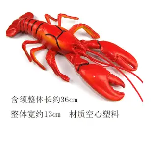 仿真龍蝦 螃蟹模型 大龍蝦玩具 仿真塑料動物 仿真龍蝦海鮮螃蟹 假波士頓龍蝦模型道具