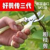 在飛比找蝦皮商城精選優惠-金泰居家-果樹剪刀樹枝修枝剪園藝剪修花工具疏果盆景造型剪園林