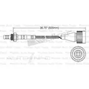 PAT Oxygen/Lambda Sensor Pre-Catalytic Converter/Manifold - EGO-103