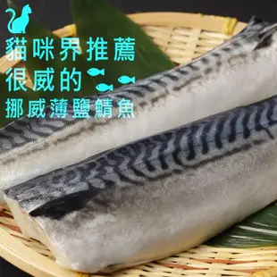 【祥饌水產】挪威薄鹽鯖魚片4公斤15片，單片260g±20克 優惠組