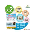 【赫而司】褐藻醣膠PLUS/糖膠2罐(共120顆日本沖繩海蘊多醣+美國複合薑黃素+維生素D3全素食膠囊病後補養)