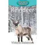 REINDEER