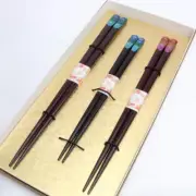Parent-Child Chopsticks with Rest Wakasa Lacquerware Rainbow Gift Box F/S