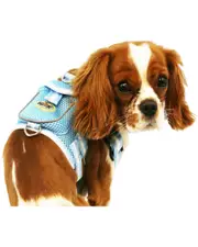 Pet Life Mesh Harness with Pouch