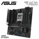 【ASUS 華碩】TUF GAMING A620M-PLUS AM5 主機板