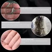 Single Layer Monofilament Fishing Net Fish Gill Net with Float Trap for Outdoor
