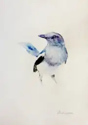 Blue Sparrow, Birds, Watercolor artwork, Handmade, Original painting on paper