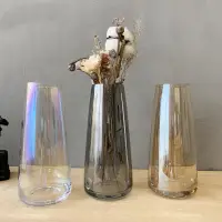 在飛比找蝦皮購物優惠-Ins極光幻彩花瓶玻璃水培瓶/a新款ins極光彩花瓶玻璃水培
