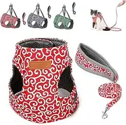 Respectivelk Cat Harness, Cat Dogs Vest Harness and Leash Anti-Break Away Chest Strap Cats Clothes, Adjustable Cats & Dog Vest Harnesses with Leash, for Walking (Red,XS)