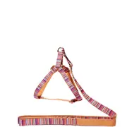 House Of Pets Delight Multicolour Summer Step In Harness & Leash Set - Medium