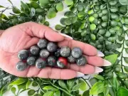 Mini bloodstone sphere - natural bloodstone crystal ball - 0.6" bloodstone