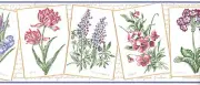 Spring Flowers Tulip Pansy Blue Bonnet Crocus Primose Framed Wall paper Border