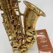 Brand New Gold Alto Saxophone Instrument - 2024 # Free Shipping ！！