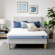 ZINUS 6 Inch Cooling Essential Memory Foam Mattress DAMAGED BOX