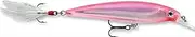 Rapala X-Rap Jerkbait XR10 Fishing Lure
