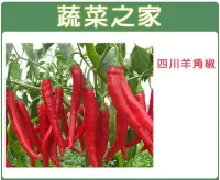 在飛比找Yahoo!奇摩拍賣優惠-【蔬菜之家滿額免運】G37.四川羊角椒種子80顆(一般辣.蔬