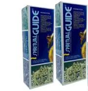 240 Incense Sticks Spiritual Guide Padmini Aromatics Hex Pack Wicca Smudge